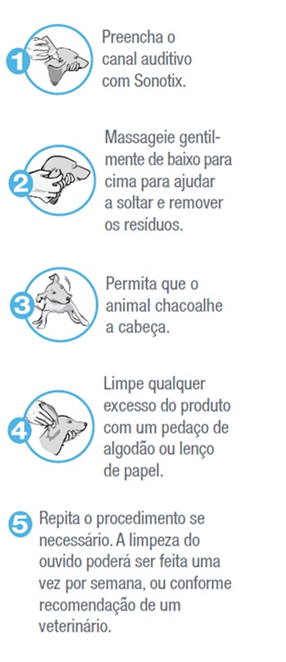 Aprenda como limpar orelha de gato em 6 passos